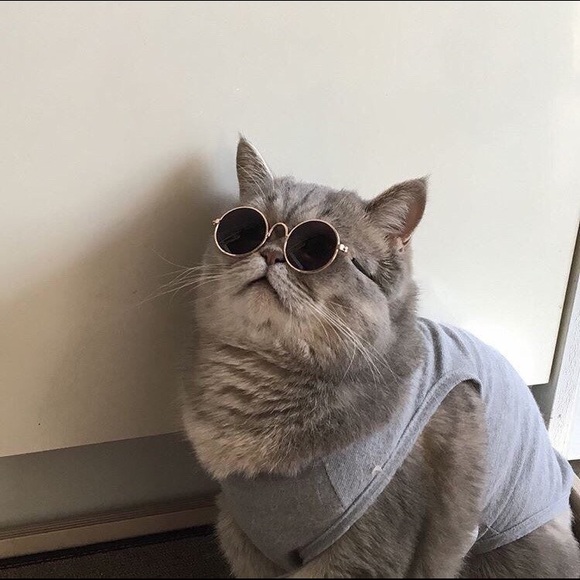 hiimmadih